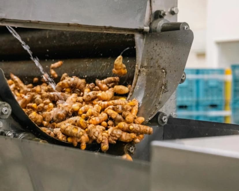 Kangen Ukon manufacturing — step 02: Cleaning and sterilisation with Super 501s