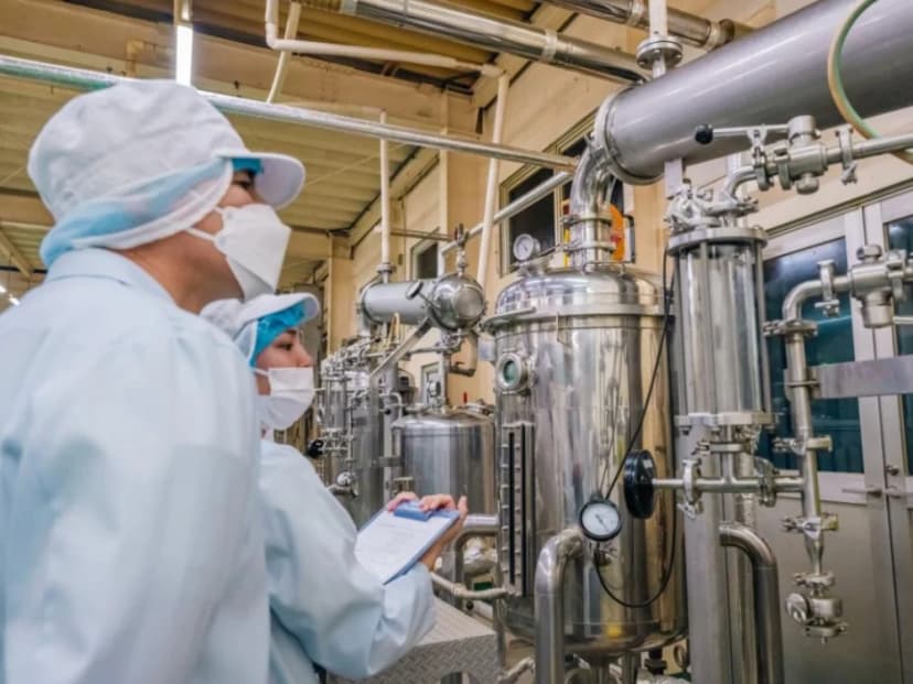 Kangen Ukon manufacturing — step 08: Steam distillation of turmeric oils