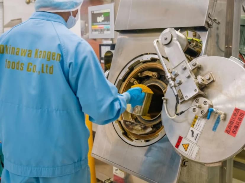 Kangen Ukon manufacturing — step 09: Tea powder sterilisation